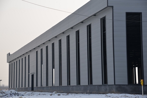 Le parc de logistique a adapté la structure métallique aux besoins du client Q235B a préfabriqué l'entrepôt en métal
